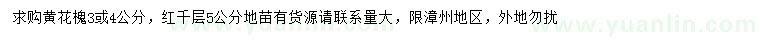 求购3、4公分黄花槐、5公分红千层地苗