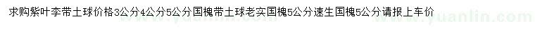 求购3、4、5公分紫叶李、5公分国槐