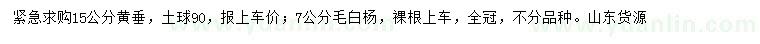 求购15公分黄垂、7公分毛白杨