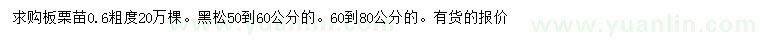 求购粗度0.6公分板栗苗、50-60、60-80公分黑松