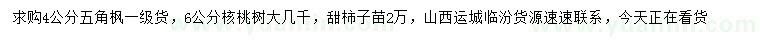 求购五角枫、核桃树、甜柿子