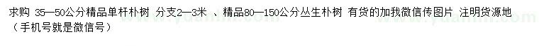 求购35-50公分精品朴树、80-150公分精品丛生朴树