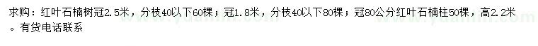 求购冠幅1.8、2.5米红叶石楠、冠80公分红叶石楠柱