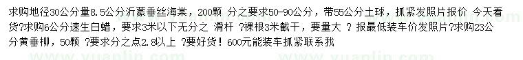 求购沂蒙垂丝海棠、速生白蜡、黄垂柳