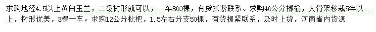 求购黄白玉兰、榔榆、枇杷树