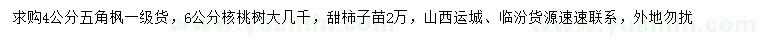 求购五角枫、核桃树、甜柿子苗