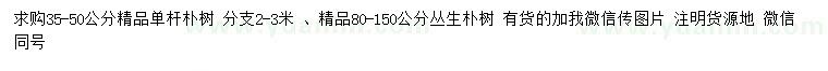 求购35-50公分单杆朴树、80-150公分丛生朴树