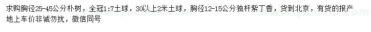 求购胸径25-45公分朴树、胸径12-15公分独杆紫丁香