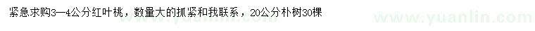 求购3-4公分红叶桃、20公分朴树