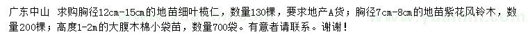 求购细叶榄仁、紫花风铃木、大腹木棉