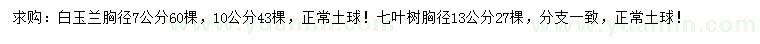 求购胸径7、10公分白玉兰、13公分七叶树