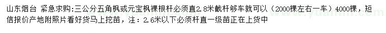 求购3公分五角枫或元宝枫=