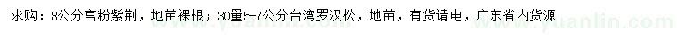 求购8公分宫粉紫荆、30量5-7公分台湾罗汉松