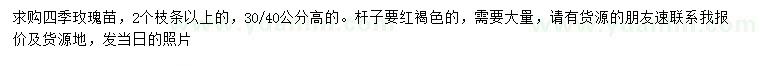 求购高30、40公分四季玫瑰