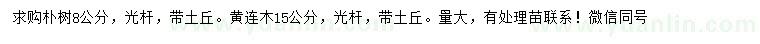 求购8公分朴树、15公分黄连木