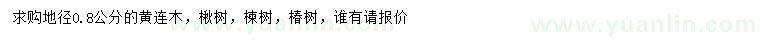 求购黄连木、楸树、楝树等