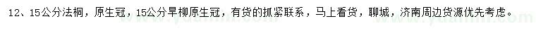 求购12、15公分法桐、15公分旱柳