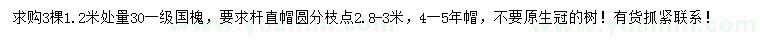 求购1.2米量30公分国槐