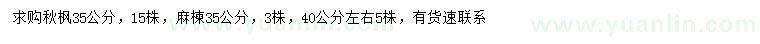 求购35公分秋枫、35、40公分麻楝