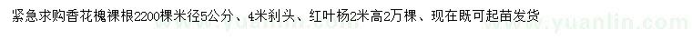 求购米径5公分香花槐、高2米红叶杨