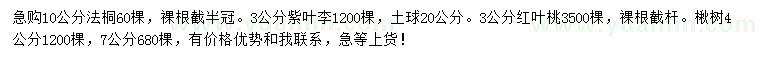 求购法桐、紫叶李、红叶桃等