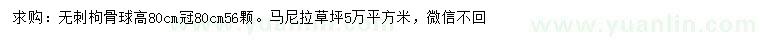 求购高80公分无刺枸骨球、马尼拉草坪