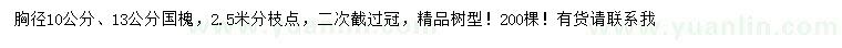 求购胸径10、13公分国槐