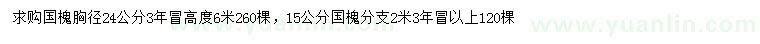 求购15、24公分国槐