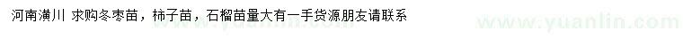 求购冬枣苗、柿子苗、石榴苗