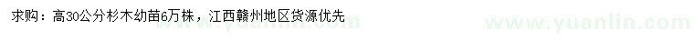 求购高30公分杉木小苗