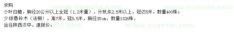 求购胸径20公分以上小叶白蜡、胸径35公分少球悬铃木