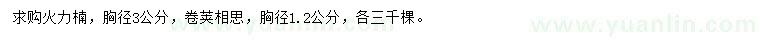 求购胸径3公分火力楠、胸径1.2公分卷荚相思