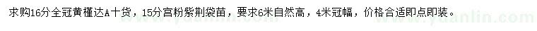 求购16公分黄槿、15公分宫粉紫荆