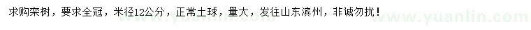 求购米径12公分栾树