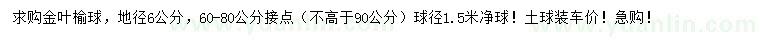 求购地径6公分金叶榆球