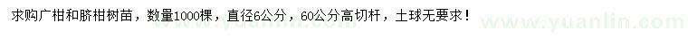 求购直径6公分广柑、脐柑树苗