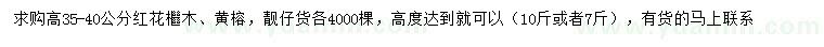 求购高35-40公分红花檵木、黄榕