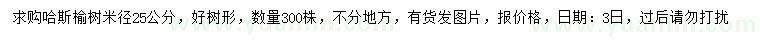 求购米径25公分哈斯榆树