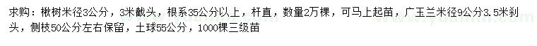 求购3公分楸树、9公分广玉兰