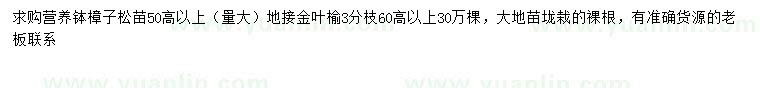 求购高50公分以上樟子松、60公分以上金叶榆