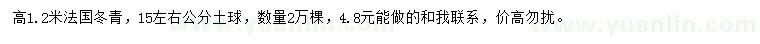 求购高1.2米法国冬青