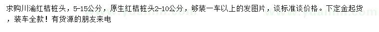 求购5-15公分红桔桩头、原生红桔桩头2-10公分