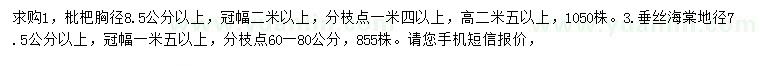 求购胸径8.5公分以上枇杷、地径7.5公分以上垂丝海棠