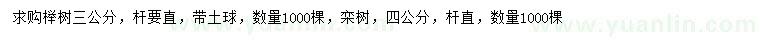 求购3公分榉树、4公分栾树