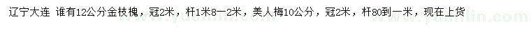 求购12公分金枝槐、10公分美人梅