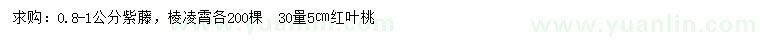 求购紫藤、棱凌霄、红叶桃