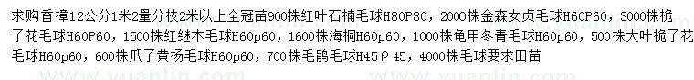 求购香樟、红叶石楠、金森女贞等