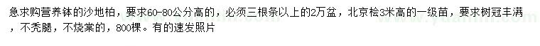 求购高60-80公分沙地柏、3米北京桧