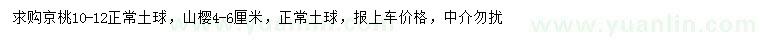 求购10-12公分京桃、4-6公分山樱