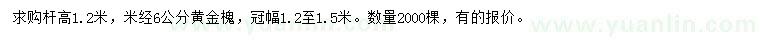 求购米经6公分黄金槐